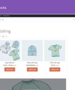 Woocommerce Print of Demand Tools for Developer
